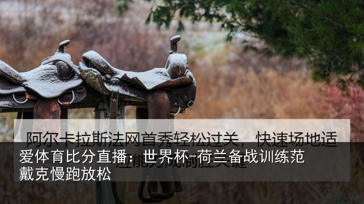 爱体育比分直播:世界杯-荷兰备战训练范戴克慢跑放松