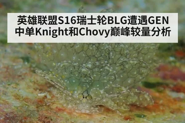 英雄联盟S16瑞士轮BLG遭遇GEN 中单Knight和Chovy巅峰较量分析